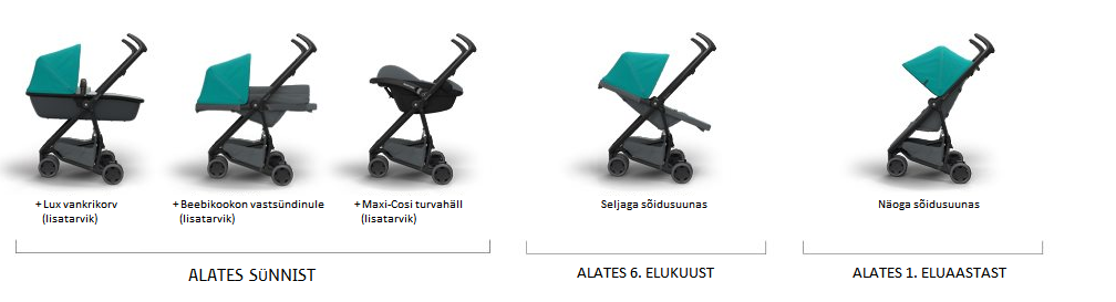 Zapp Flex järjekord